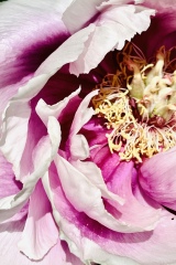 seria- Cztery pory roku- Wiosna