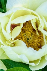 seria- Cztery pory roku- Wiosna