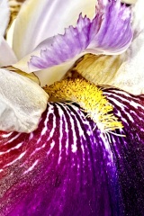 seria- Cztery pory roku- Wiosna