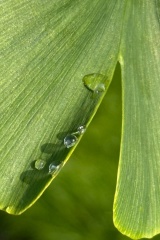 seria- Cztery pory roku- Wiosna