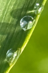 seria- Cztery pory roku- Wiosna