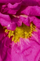 IMG_8632-1seria- Cztery pory roku- Wiosna