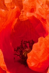 seria- Cztery pory roku- Wiosna