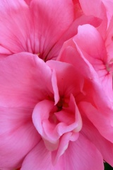 seria- Cztery pory roku- Wiosna