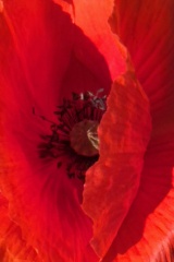 seria- Cztery pory roku- Wiosna